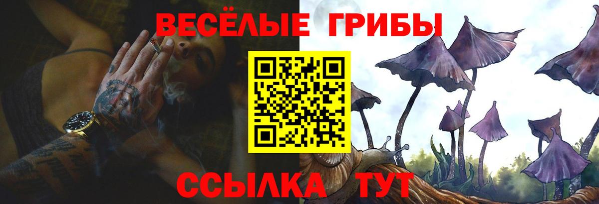 Псилоцибиновые грибы мухоморы  Вход с VPN  Луховицы  Галлюциногенные грибы прущие грибы 